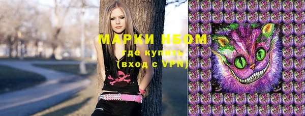 дживик Краснослободск
