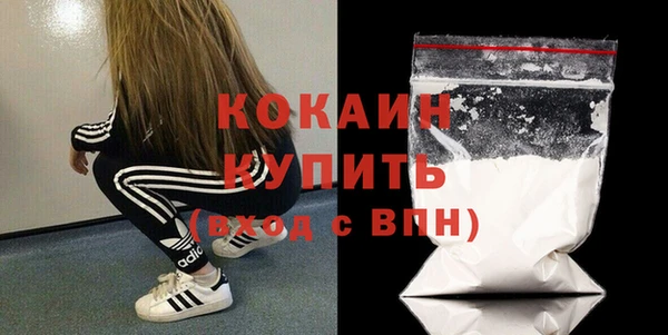 дживик Краснослободск
