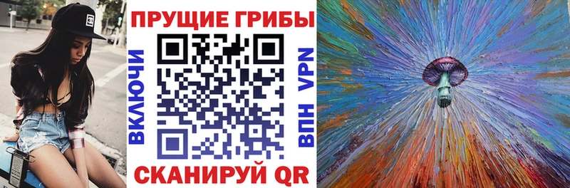 Галлюциногенные грибы Magic Shrooms  Купить  Неман 